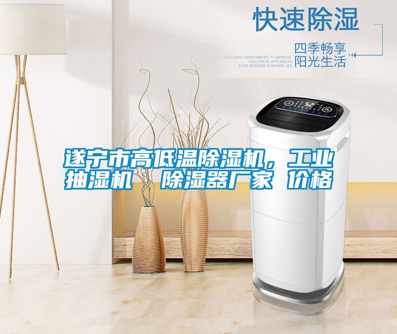 遂寧市高低溫除濕機(jī)，工業(yè)抽濕機(jī)  除濕器廠家 價(jià)格