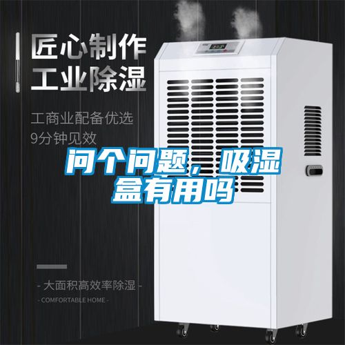 問個問題，吸濕盒有用嗎