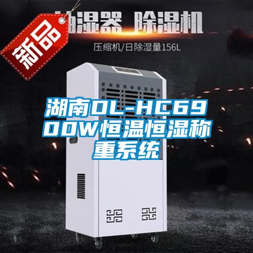 湖南DL-HC6900W恒溫恒濕稱重系統