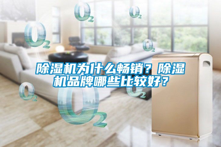 除濕機為什么暢銷？除濕機品牌哪些比較好？