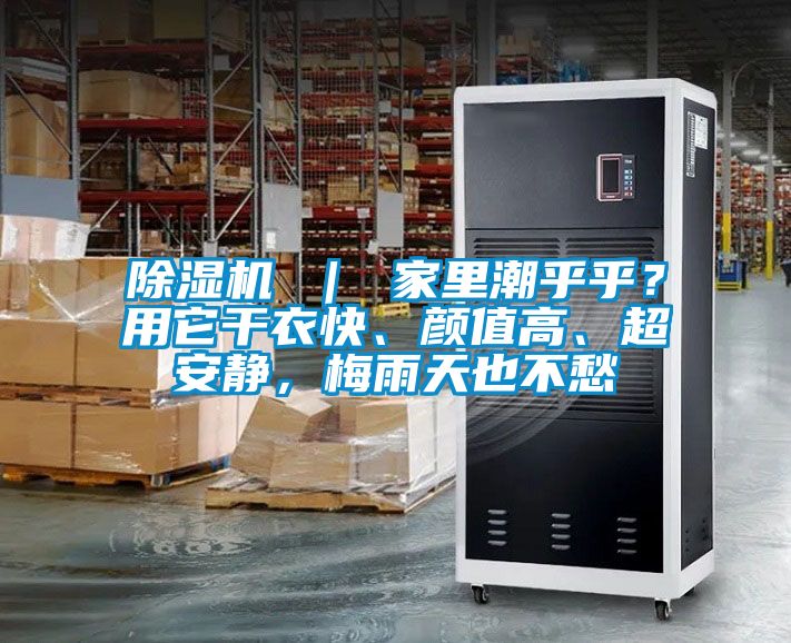 除濕機(jī) ｜ 家里潮乎乎？用它干衣快、顏值高、超安靜，梅雨天也不愁