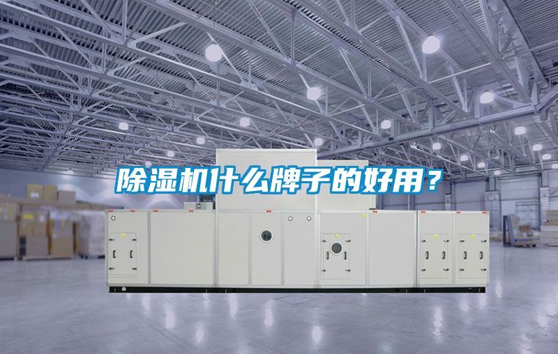 除濕機(jī)什么牌子的好用？
