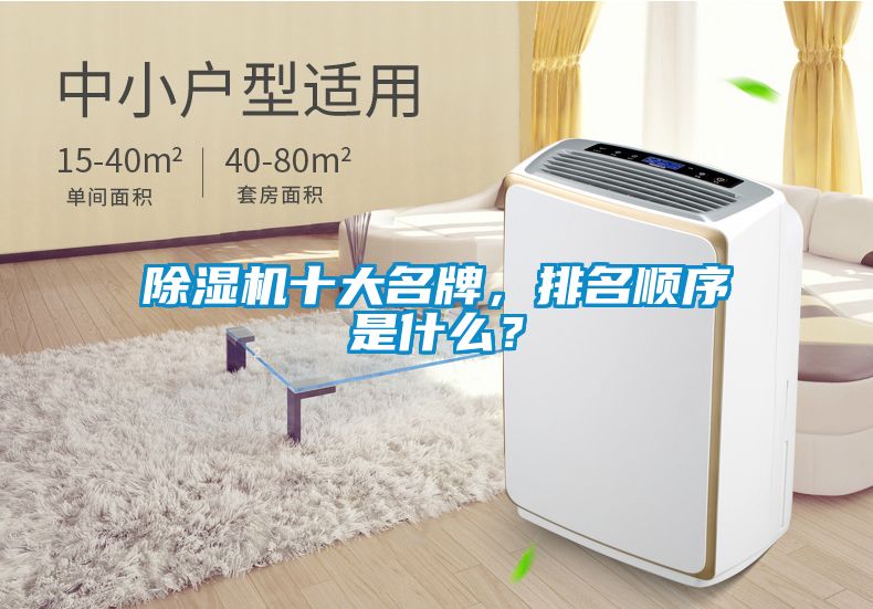 除濕機十大名牌，排名順序是什么？