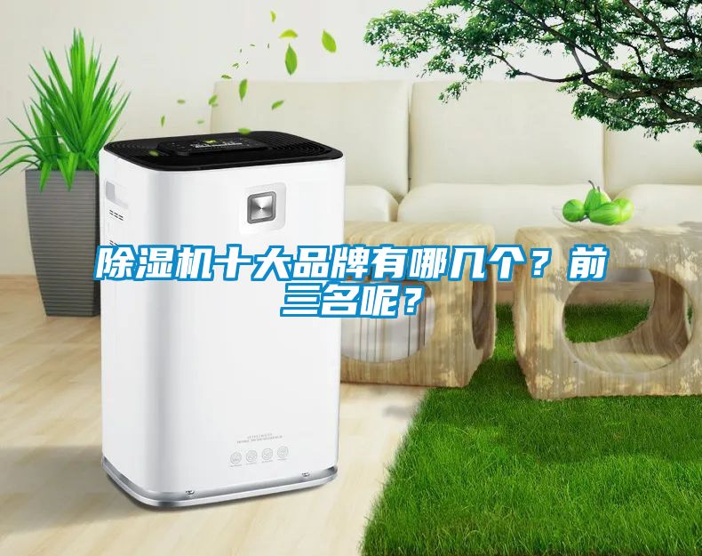 除濕機(jī)十大品牌有哪幾個？前三名呢？