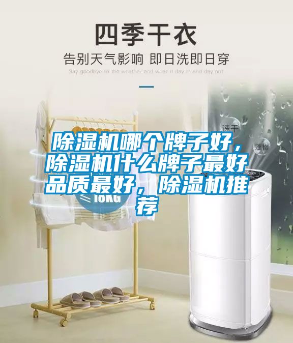 除濕機哪個牌子好，除濕機什么牌子最好品質最好，除濕機推薦