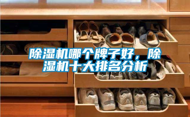 除濕機(jī)哪個(gè)牌子好，除濕機(jī)十大排名分析