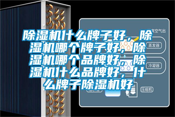 除濕機什么牌子好，除濕機哪個牌子好，除濕機哪個品牌好，除濕機什么品牌好，什么牌子除濕機好