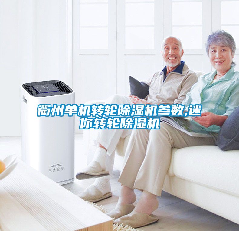 衢州單機轉輪除濕機參數(shù),迷你轉輪除濕機