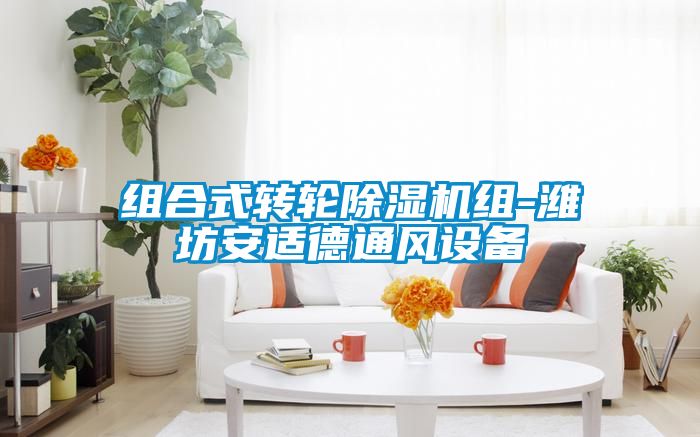 組合式轉輪除濕機組-濰坊安適德通風設備