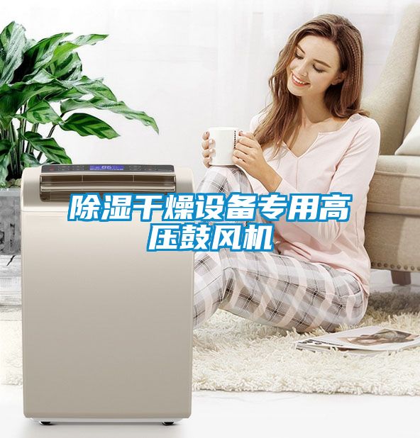 除濕干燥設備專用高壓鼓風機
