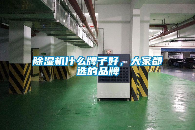 除濕機什么牌子好，大家都選的品牌