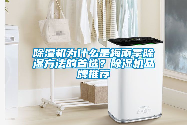 除濕機(jī)為什么是梅雨季除濕方法的首選？除濕機(jī)品牌推薦