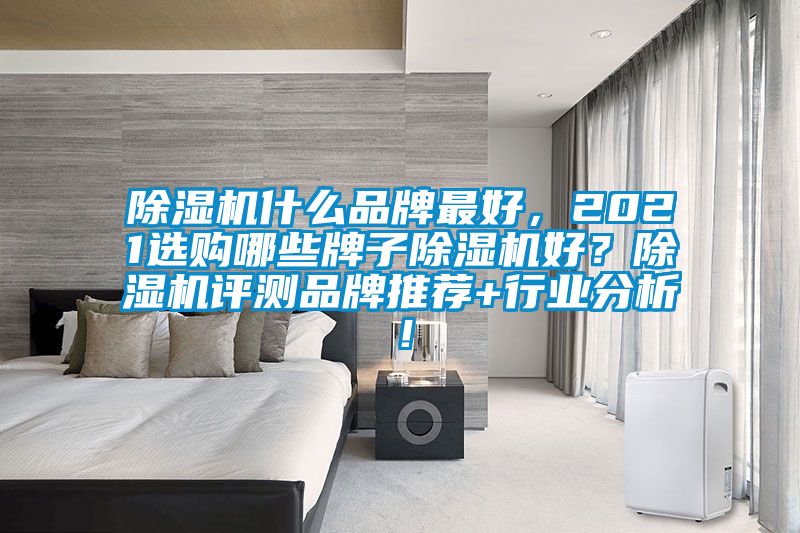 除濕機什么品牌最好,2021選購哪些牌子除濕機好?除濕機評測品牌推薦+行業分析!