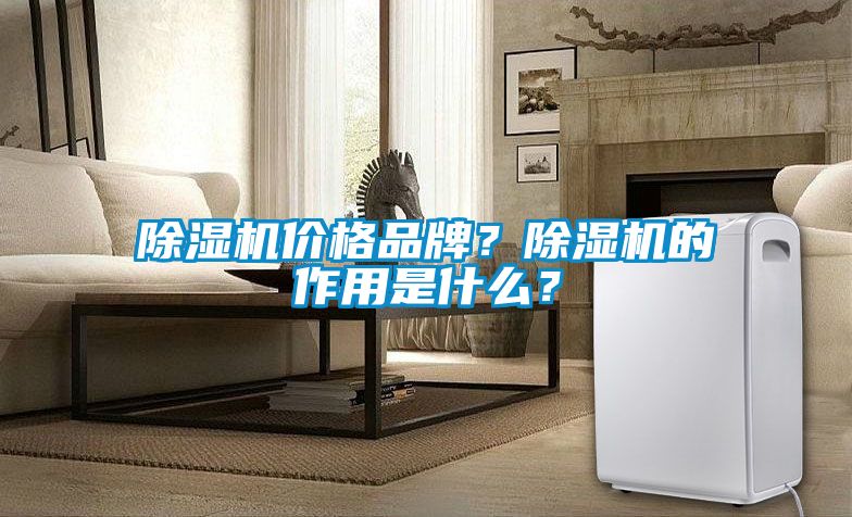 除濕機價格品牌？除濕機的作用是什么？