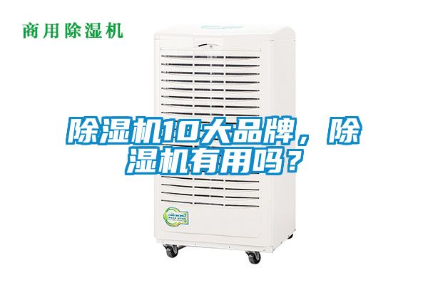 除濕機10大品牌，除濕機有用嗎？