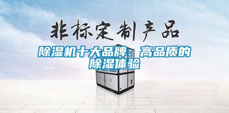 除濕機十大品牌：高品質的除濕體驗