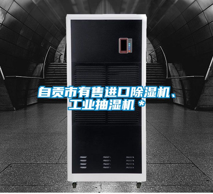 自貢市有售進口除濕機、工業抽濕機＊