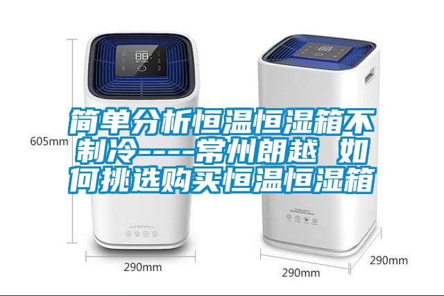 簡(jiǎn)單分析恒溫恒濕箱不制冷----常州朗越 如何挑選購買恒溫恒濕箱