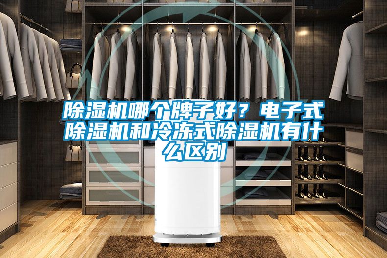 除濕機哪個牌子好？電子式除濕機和冷凍式除濕機有什么區(qū)別