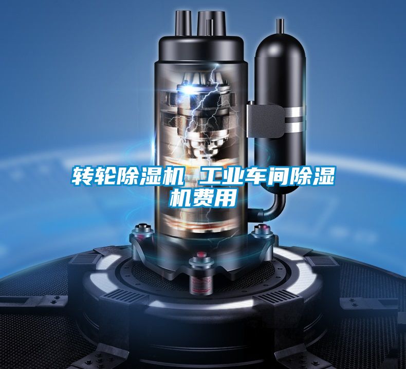 轉(zhuǎn)輪除濕機(jī) 工業(yè)車(chē)間除濕機(jī)費(fèi)用