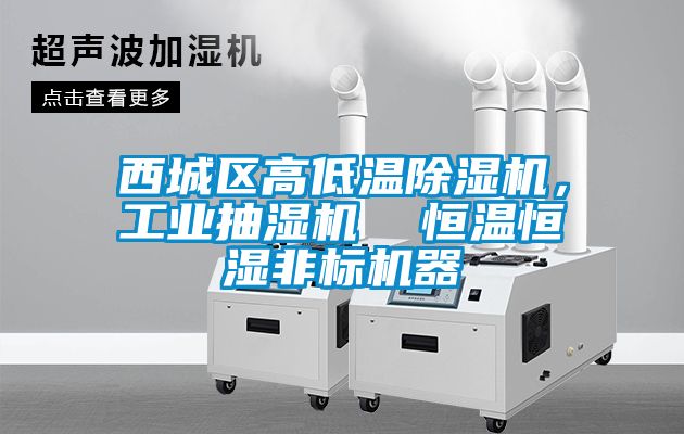 西城區(qū)高低溫除濕機，工業(yè)抽濕機  恒溫恒濕非標機器