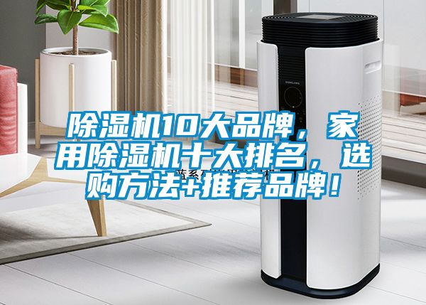 除濕機(jī)10大品牌，家用除濕機(jī)十大排名，選購(gòu)方法+推薦品牌！