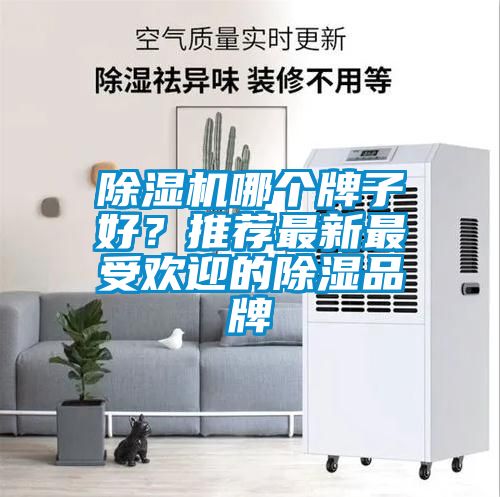 除濕機哪個牌子好？推薦最新最受歡迎的除濕品牌