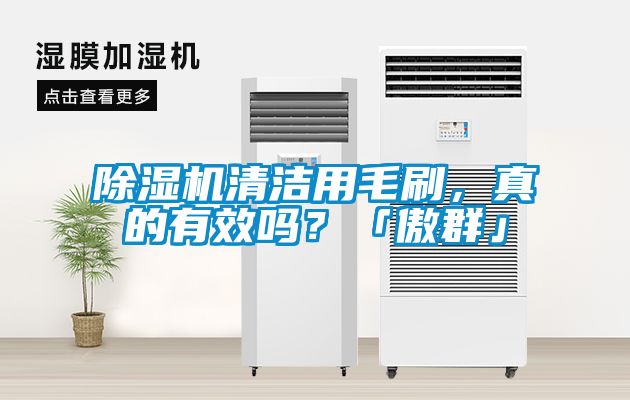除濕機(jī)清潔用毛刷，真的有效嗎？「傲群」