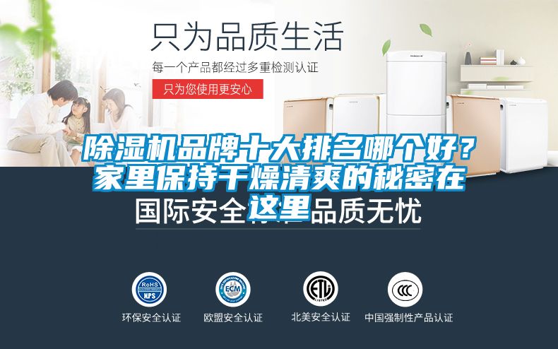 除濕機(jī)品牌十大排名哪個好？家里保持干燥清爽的秘密在這里