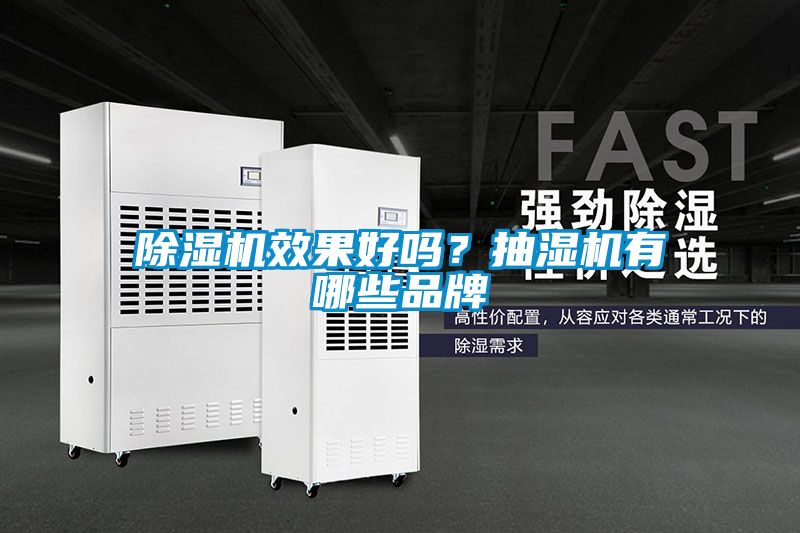 除濕機效果好嗎？抽濕機有哪些品牌