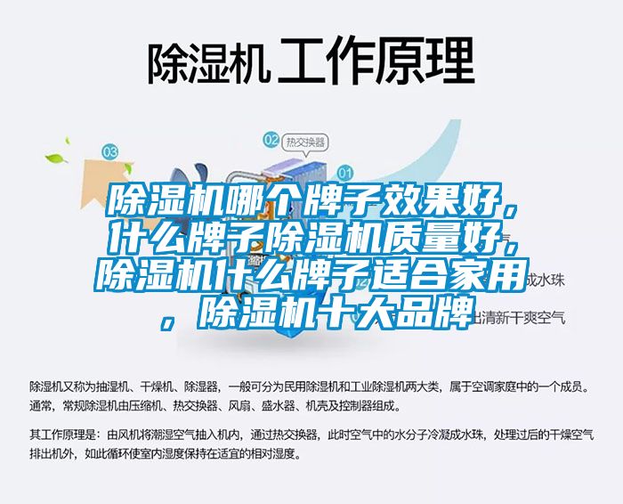 除濕機哪個牌子效果好，什么牌子除濕機質量好，除濕機什么牌子適合家用，除濕機十大品牌