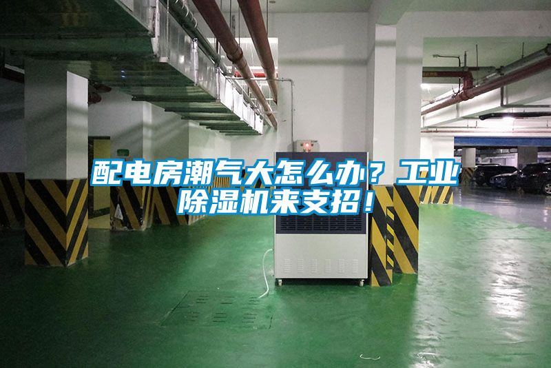 配電房潮氣大怎么辦？工業(yè)除濕機(jī)來(lái)支招！