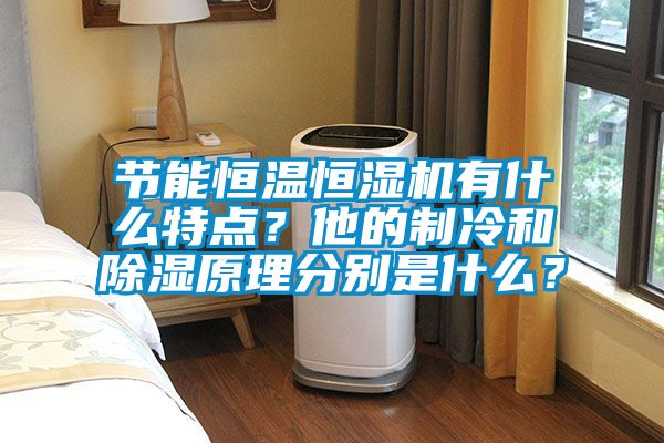 節(jié)能恒溫恒濕機(jī)有什么特點(diǎn)？他的制冷和除濕原理分別是什么？