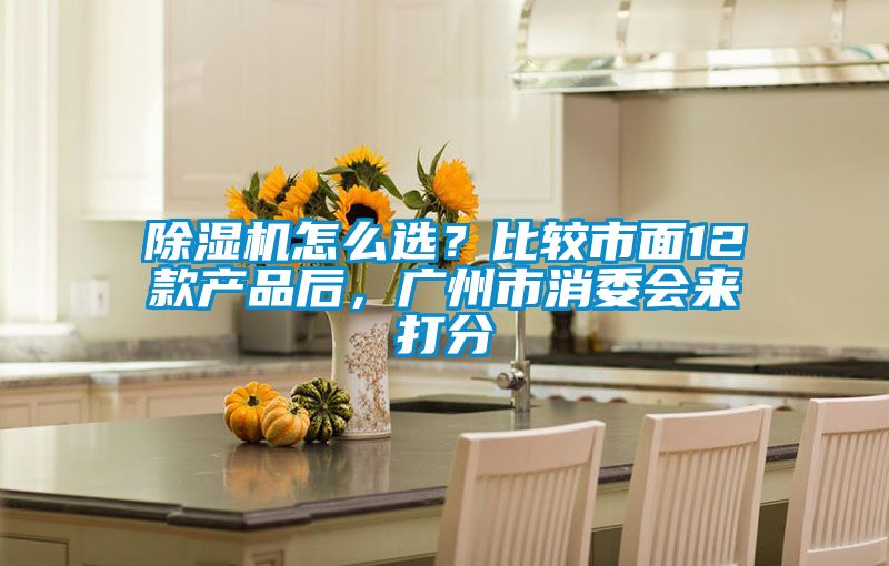 除濕機怎么選？比較市面12款產品后，廣州市消委會來打分
