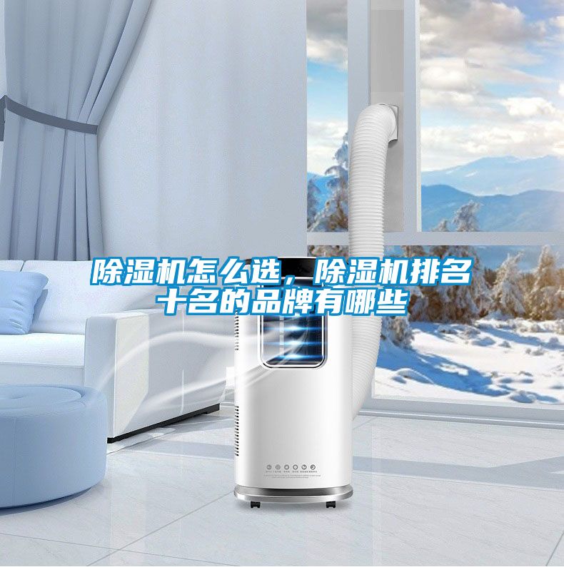 除濕機(jī)怎么選，除濕機(jī)排名十名的品牌有哪些