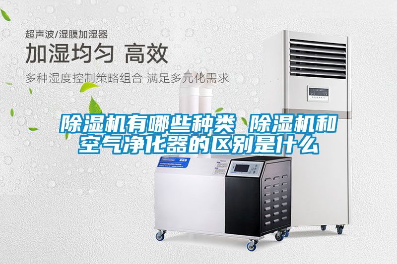 除濕機有哪些種類 除濕機和空氣凈化器的區別是什么