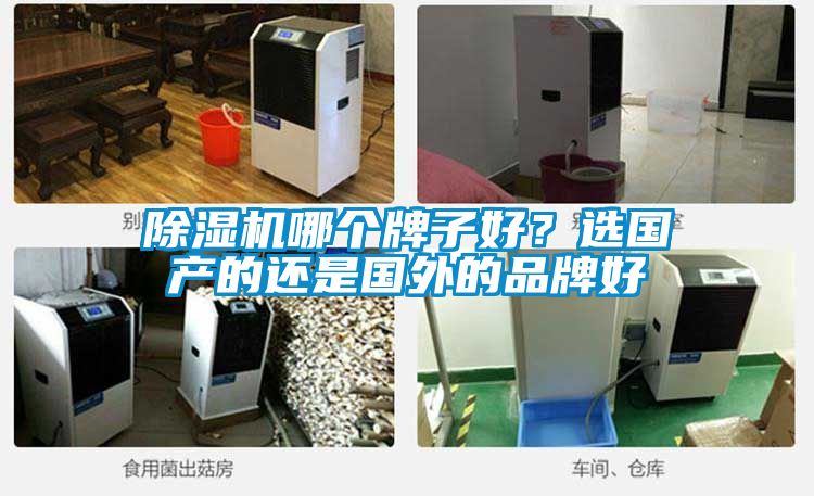 除濕機哪個牌子好?選國產的還是國外的品牌好