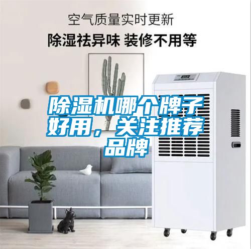 除濕機哪個牌子好用，關注推薦品牌