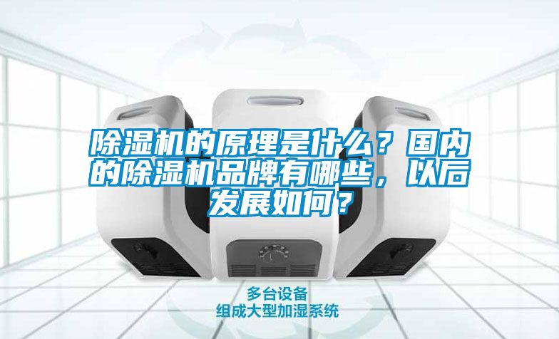 除濕機(jī)的原理是什么？國(guó)內(nèi)的除濕機(jī)品牌有哪些，以后發(fā)展如何？