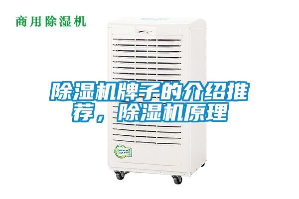 除濕機牌子的介紹推薦，除濕機原理