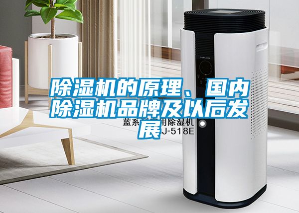 除濕機的原理、國內除濕機品牌及以后發展