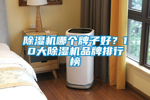 除濕機哪個牌子好？10大除濕機品牌排行榜
