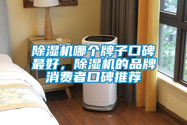 除濕機哪個牌子口碑最好，除濕機的品牌消費者口碑推薦