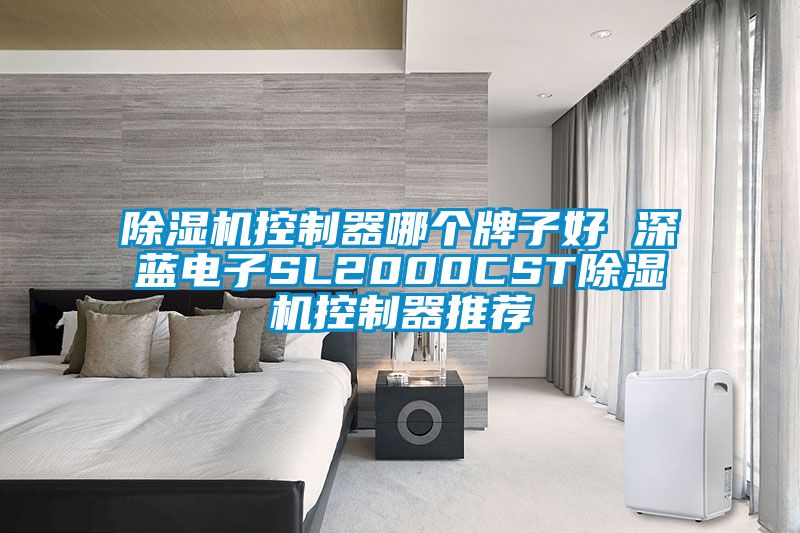 除濕機(jī)控制器哪個牌子好 深藍(lán)電子SL2000CST除濕機(jī)控制器推薦