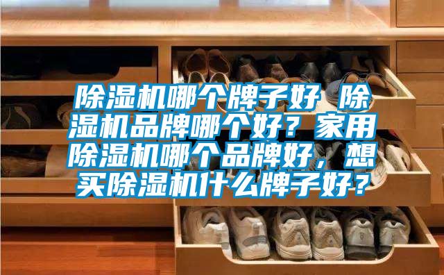 除濕機哪個牌子好 除濕機品牌哪個好?家用除濕機哪個品牌好,想買除濕機什么牌子好?