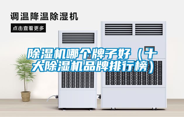 除濕機哪個牌子好（十大除濕機品牌排行榜）