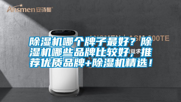除濕機哪個牌子最好？除濕機哪些品牌比較好，推薦優(yōu)質(zhì)品牌+除濕機精選！