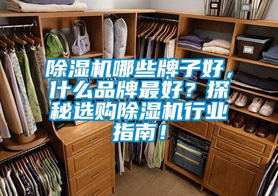除濕機哪些牌子好，什么品牌最好？探秘選購除濕機行業指南！