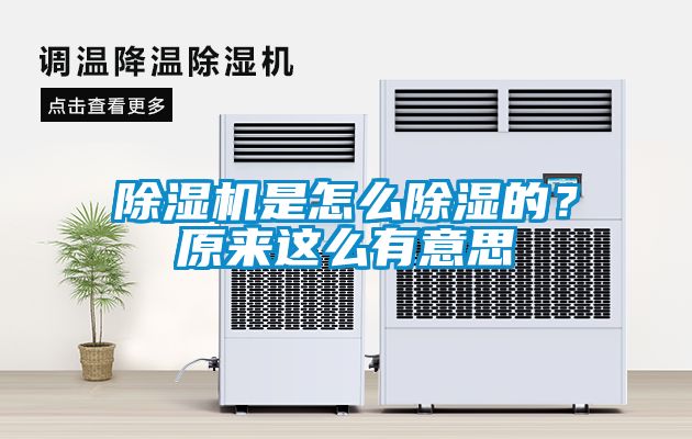 除濕機是怎么除濕的？原來這么有意思