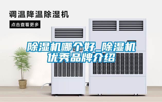 除濕機哪個好_除濕機優秀品牌介紹